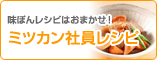 �ߥĥ���Ұ��쥷��