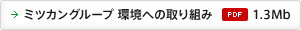 �~�c�J���O���[�v ���ւ̎��g�݁iPDF�F1.3Mb�j