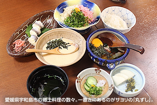 愛媛県宇和島市の郷土料理の数々。一番左にあるのがサヨリの「丸ずし」