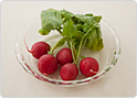 ラディッシュ