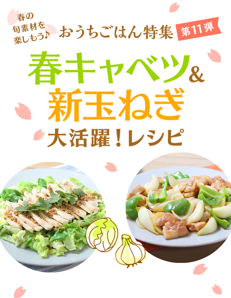 おうちごはん特集 第11弾 春の旬素材を楽しもう♪春キャベツ＆新玉ねぎ大活用レシピ