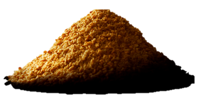 190122-01_pic02.png