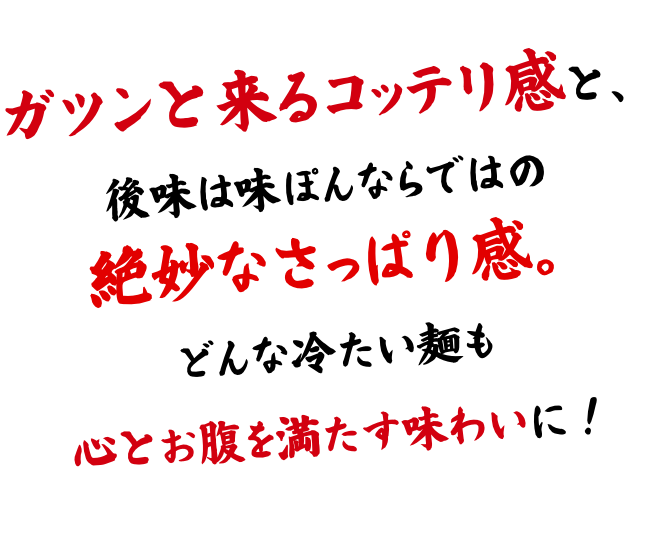 ガツンと来るコッテリ感と、後味は味ぽんならではの絶妙なさっぱり感。どんな冷たい麺も心とお腹を満たす味わいに！