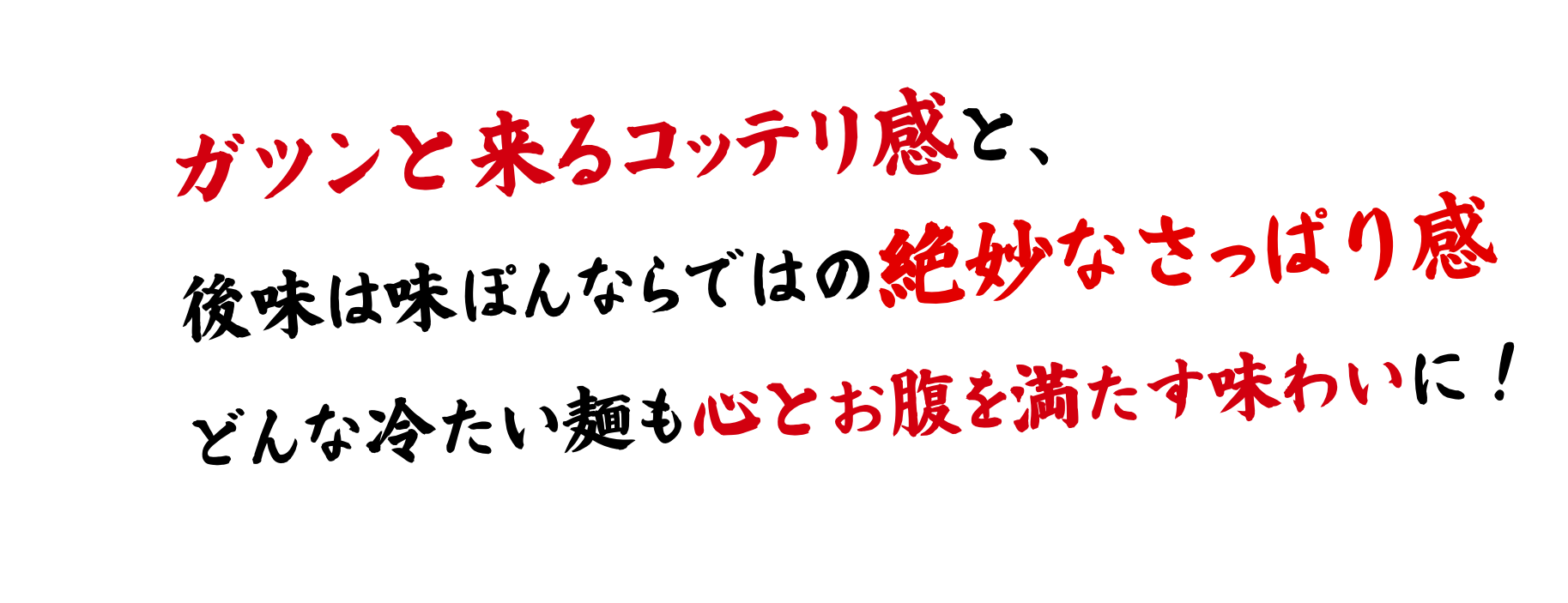 ガツンと来るコッテリ感と、後味は味ぽんならではの絶妙なさっぱり感。どんな冷たい麺も心とお腹を満たす味わいに！