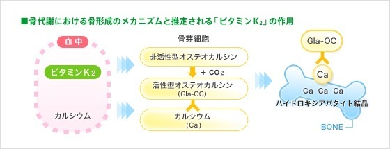 ビタミンK2量を向上させる「ほね元気」が納豆で初の特定保健用食品に│研究開発│ミツカンの取り組み│ミツカングループ