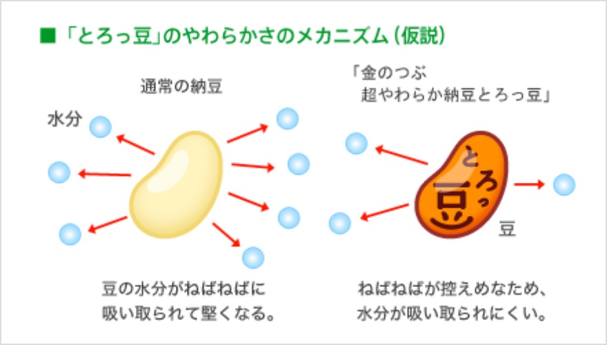 ごはんに近いやわらかさ新食感の納豆「とろっ豆」を開発│研究開発│各
