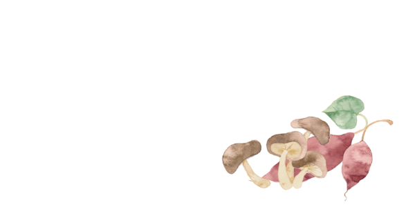 イラレ２