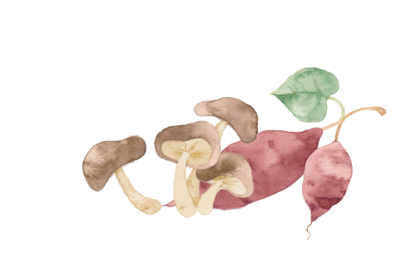 イラスト2
