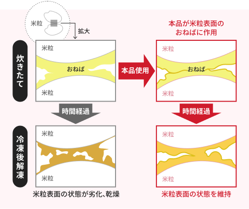 【おいしさの仕組み（仮説）】