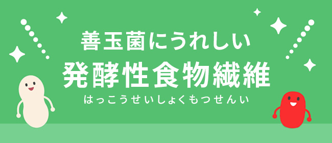 善玉菌にうれしい発酵性食物繊維