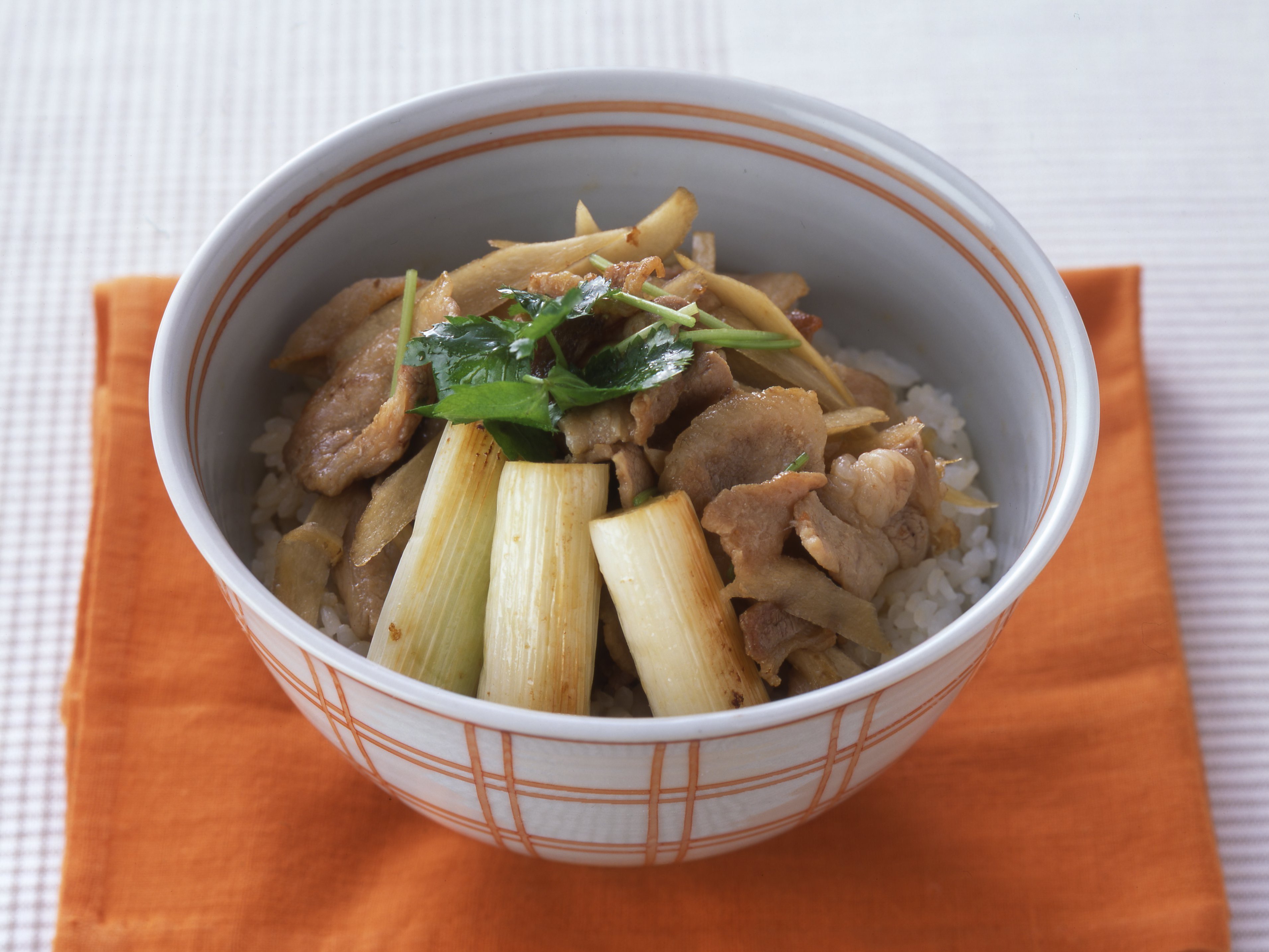 ねぎ豚丼