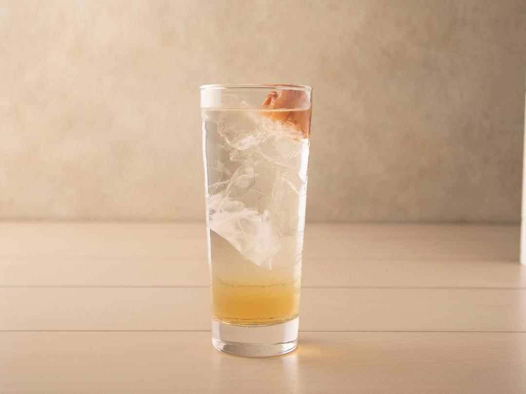 フルーツ＆ビネガー　黒酢梅はちみつサワー