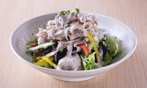 豚肉と９種の野菜サラダ