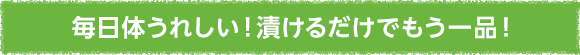 毎日体うれしい！漬けるだけでもう一品！
