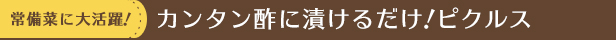 カンタン酢に漬けるだけ！ピクルス