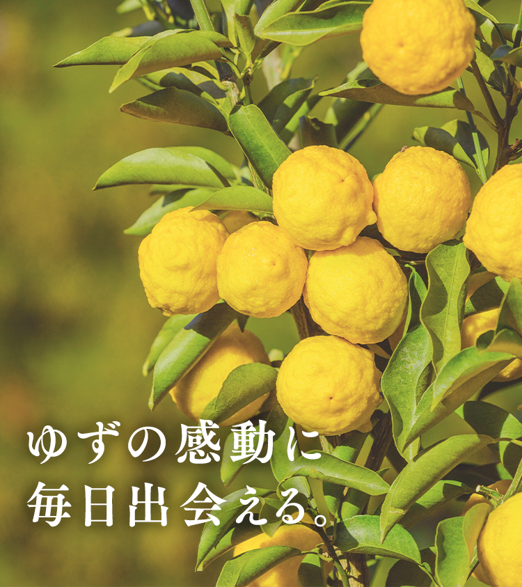 ゆずの感動に 毎日出会える。 