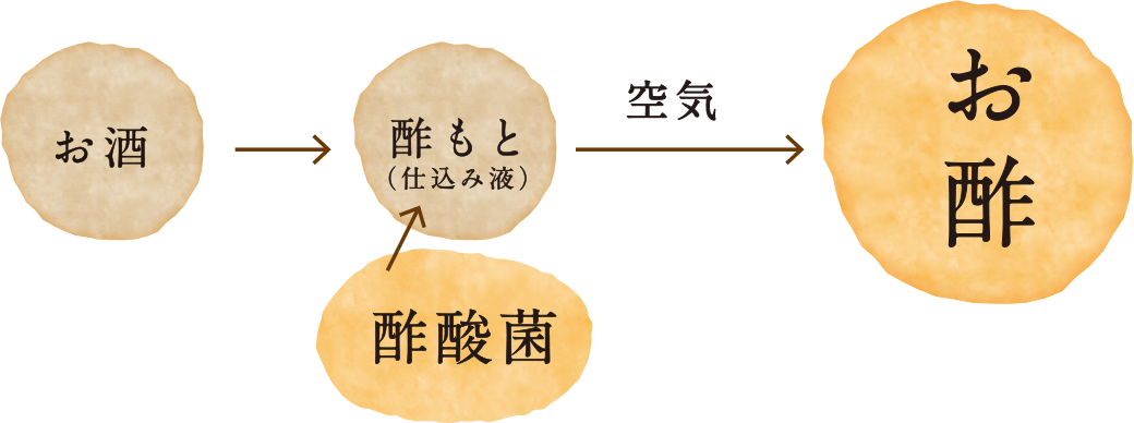 お酢に変える [酢酸発酵] イメージ