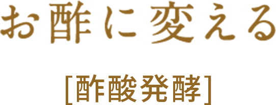 お酢に変える [酢酸発酵]