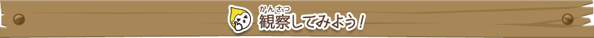 すし酢を打つ前と比較して、ピンク色になっているところ