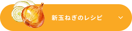 新玉ねぎのレシピ