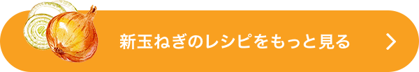 新玉ねぎのレシピをもっと見る