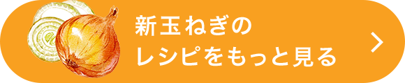 新玉ねぎのレシピをもっと見る