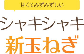 甘くてみずみずしい シャキシャキ新玉ねぎ