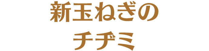 新玉ねぎのチヂミ