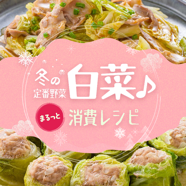 【白菜 厳選★13レシピ】食感も楽しめる♪白菜使い切りレシピ