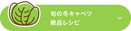 旬の冬キャベツ絶品レシピ