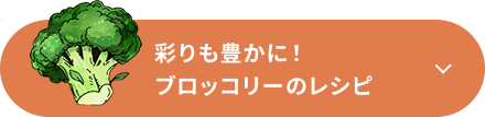 彩りも豊かに！ブロッコリーのレシピ