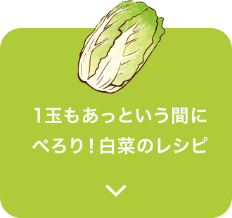 1玉もあっという間にぺろり！白菜のレシピ