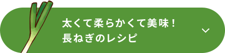 太くて柔らかくて美味！長ねぎのレシピ