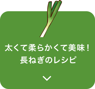 太くて柔らかくて美味！長ねぎのレシピ