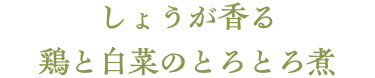 しょうが香る　鶏と白菜のとろとろ煮 