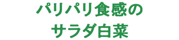 パリパリ食感のサラダ白菜