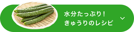 水分たっぷり！きゅうりのレシピ