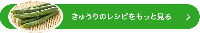 きゅうりのレシピをもっと見る