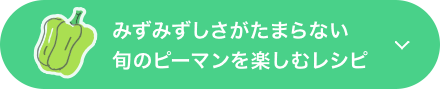 みずみずしさがたまらない旬のピーマンを楽しむレシピ