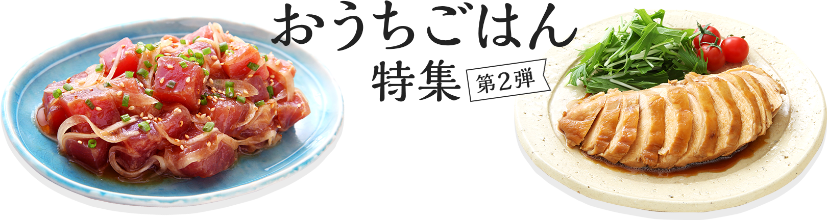 おうちごはん特集 第2弾 手作りおつまみ&高タンパク質ヘルシーおかず