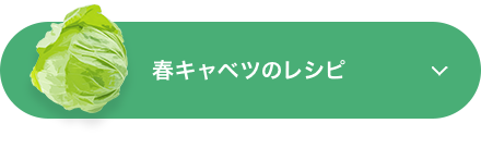 春キャベツのレシピ