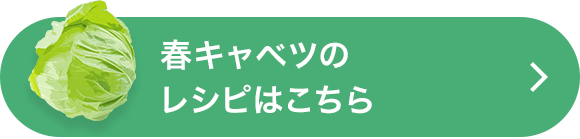 春キャベツのレシピはこちら