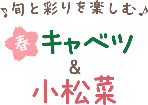 ♪旬と彩りを楽しむ♪　春キャベツ&小松菜