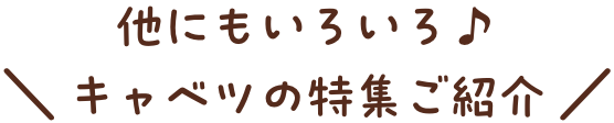 他にもいろいろ♪ キャベツの特集ご紹介