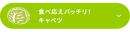 食べ応えバッチリ！キャベツ