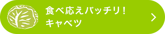 キャベツのレシピをもっと見る