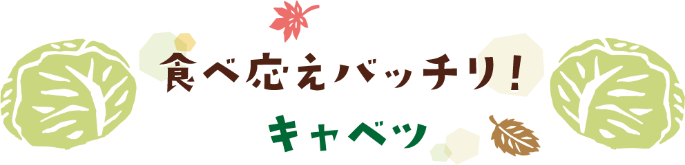 食べ応えバッチリ！キャベツ