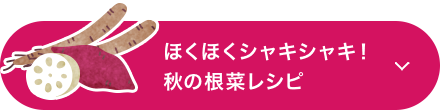 ほくほくシャキシャキ！秋の根菜レシピ