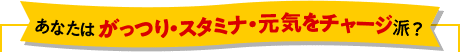 あなたは がっつり・スタミナ・元気をチャージ派？