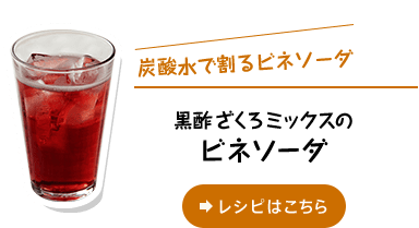 炭酸水で割るビネソーダ 黒酢ざくろミックスのビネソーダ